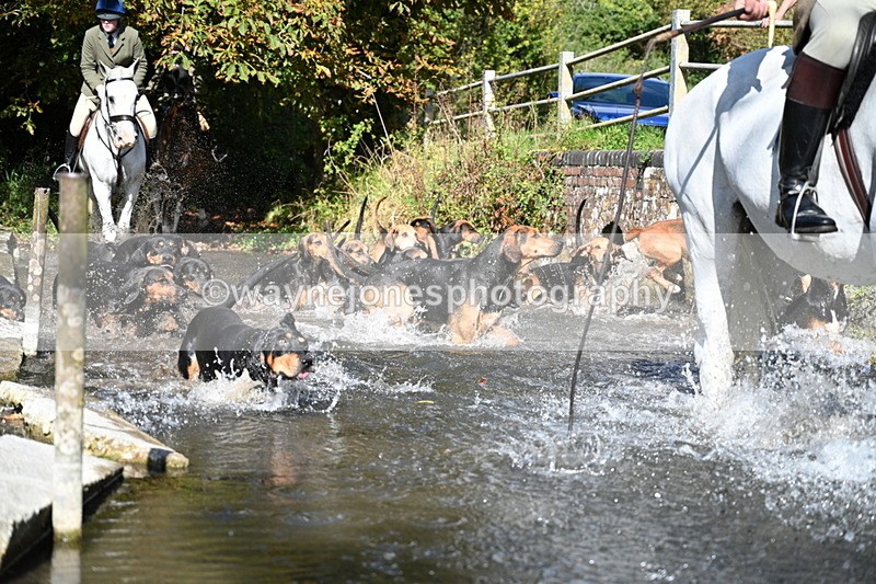 WJ7_5963 - Hounds Water Crossing