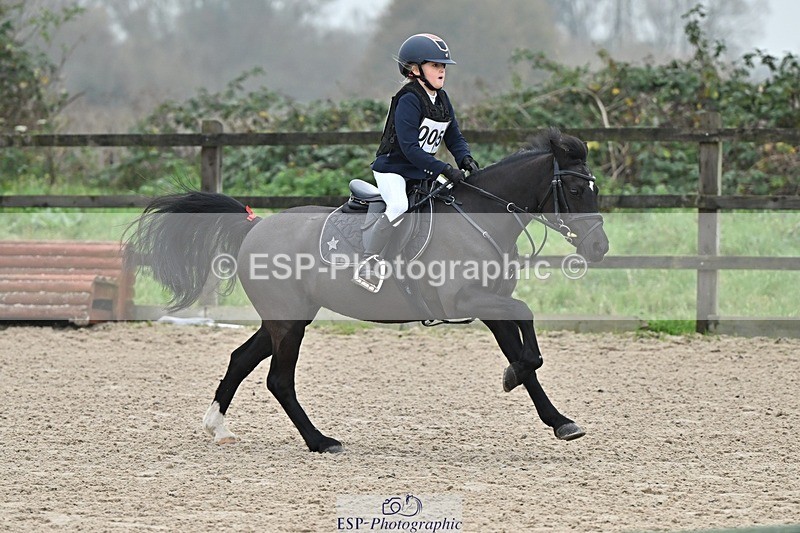 241110-101143-00212 - 40cm Showjumping