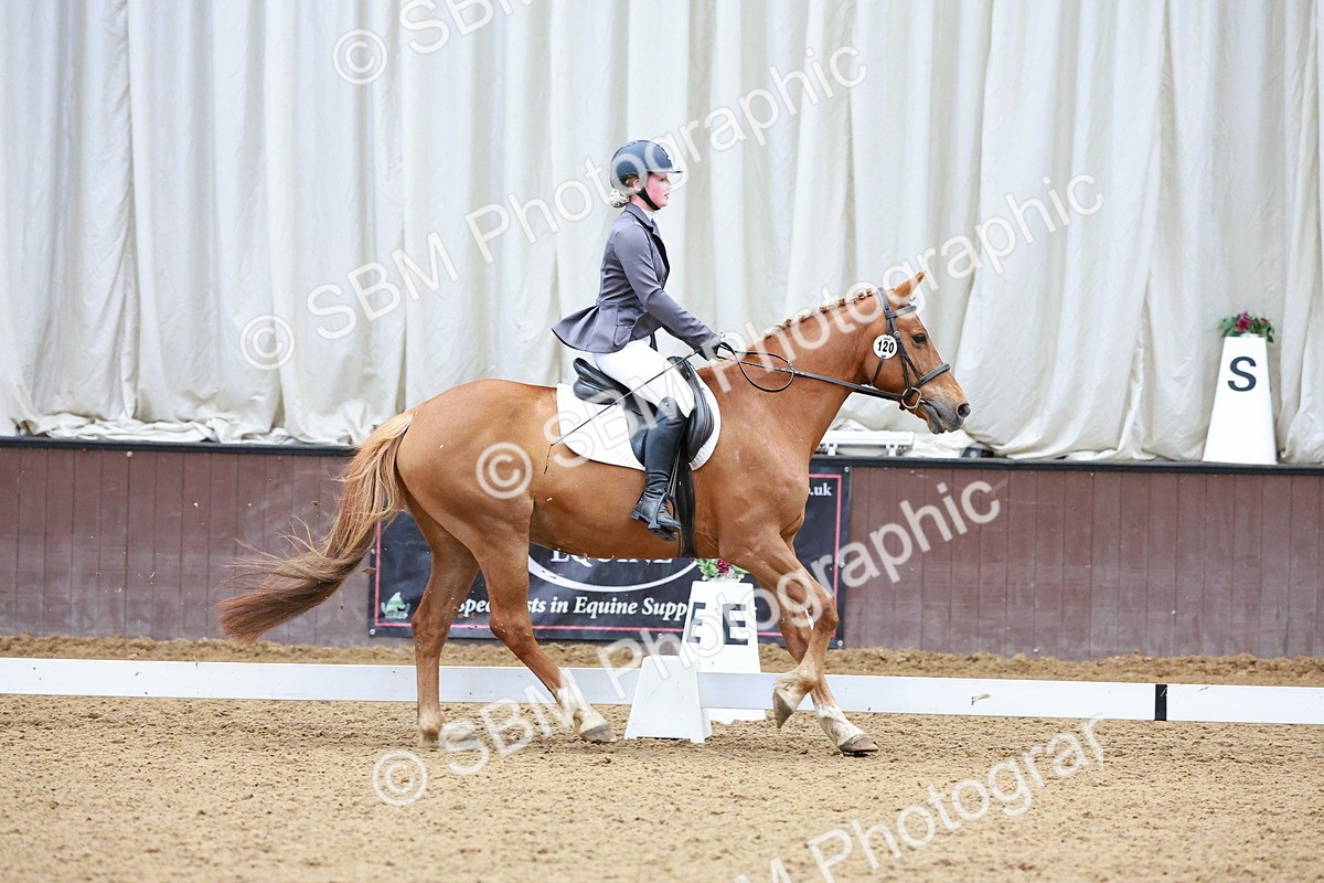 SBM_000962 - Class 12 - Novice 2