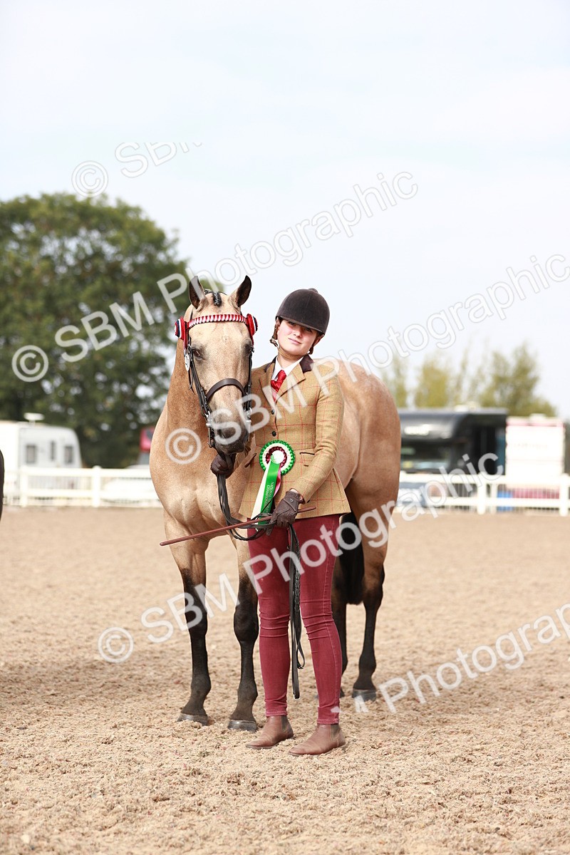 SBM_10626_Class 204 - Young Handler 11 to 16 Years - Cart - Laura