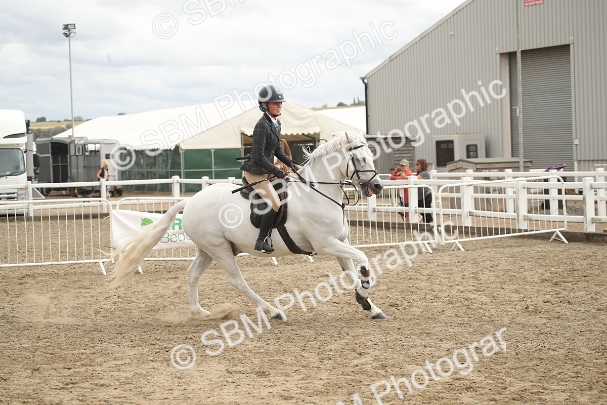 SBM_17687 - Class 508a - Working Veteran 70cm (15-19)