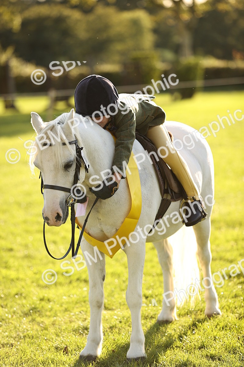 SBM_29494 - S7 - Novice & Newcomers Ridden Pony
