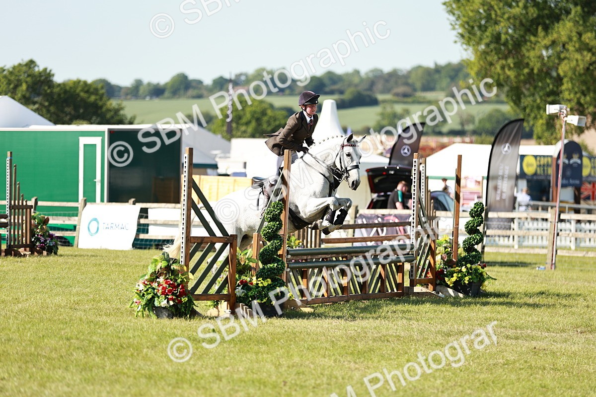 SBM_19167 - Class 115-116 - LIHS BSHA Rising Star Working Hunter & Show Horse