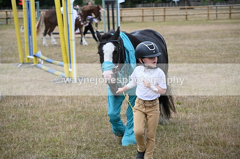WJ6_8799 - Class 11 Fancy Dress