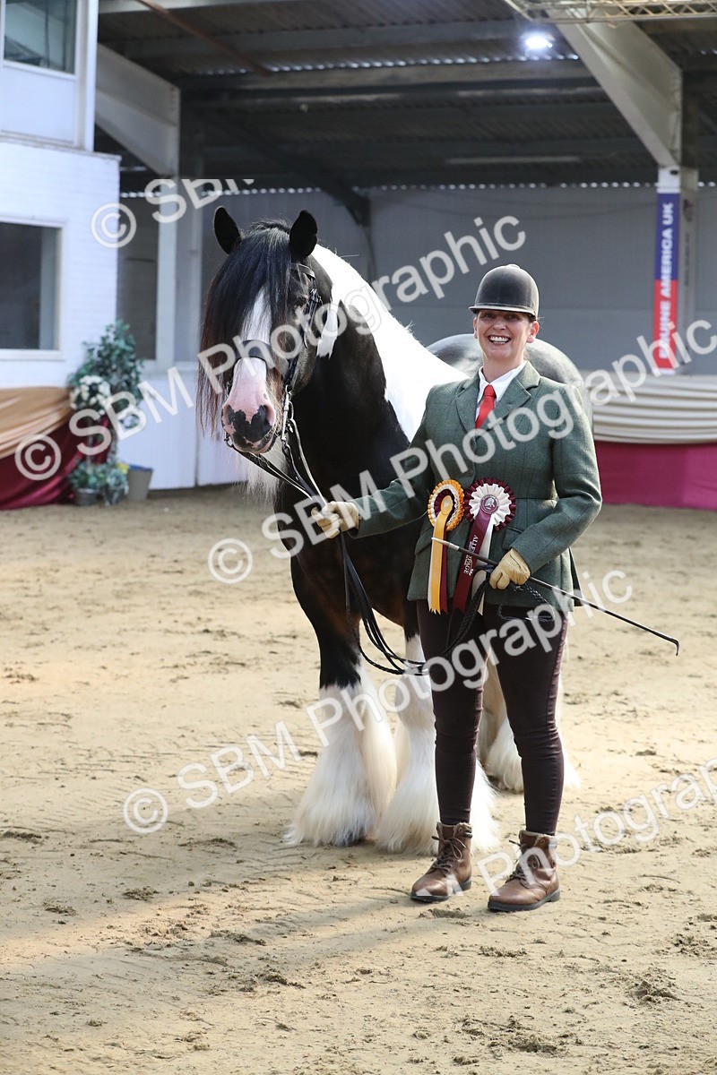 SBM_01376 - Class 3a Area IH Pre Vet