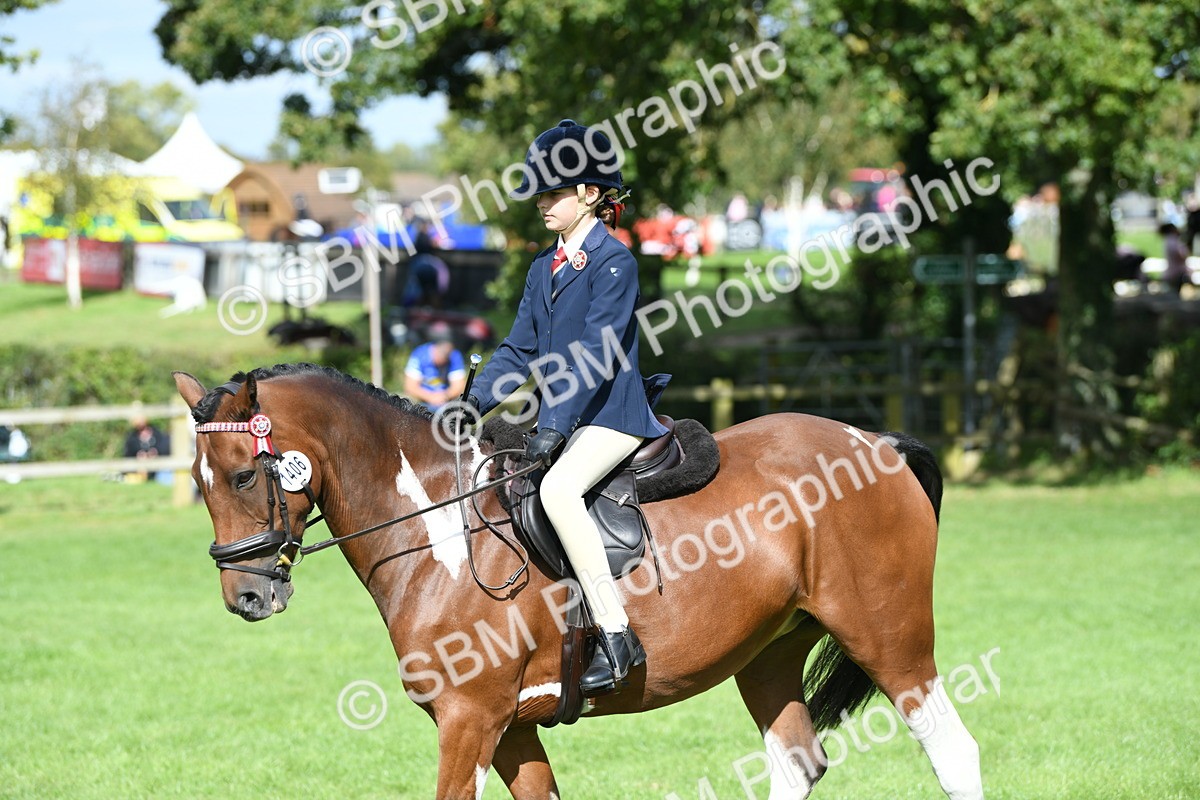 SBM_47139 - S12 - Family Horse & Pony