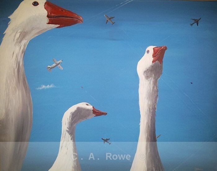 Concerning Flight - Gallery 1