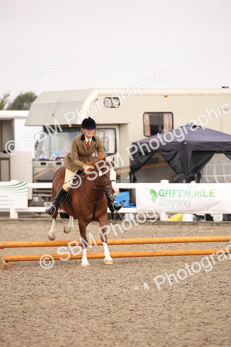 SBM_12262 - Class 405a - M&M Working Veteran 50cm (15-19)