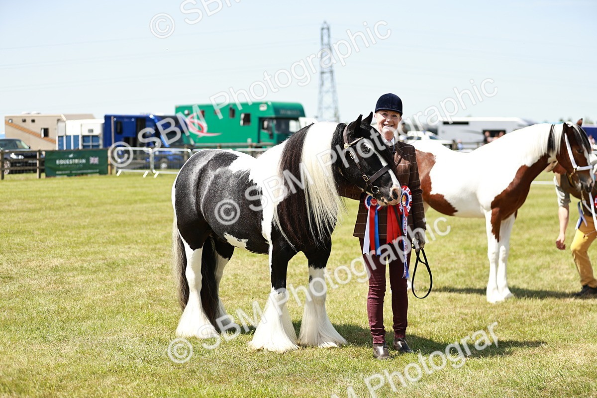 SBM_05522 - Class 41-45 - Riding Pony-Hunter Pony Breeding