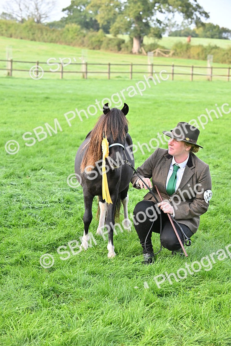 SBM_55394 - S44 - Youngstock In Hand