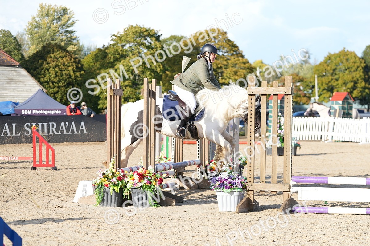 SBM_28977 - J43 - Horse & Hound Open 50cm