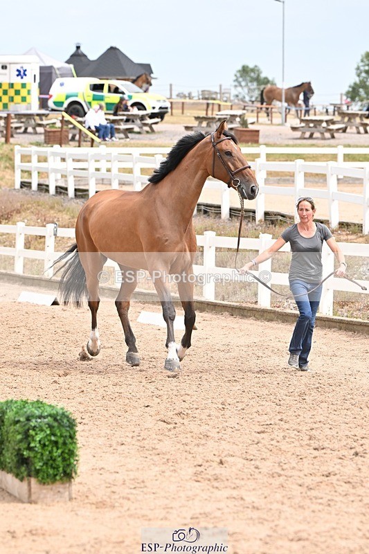 250716-144855-01428 - Trot Up 2.30 to 3.30