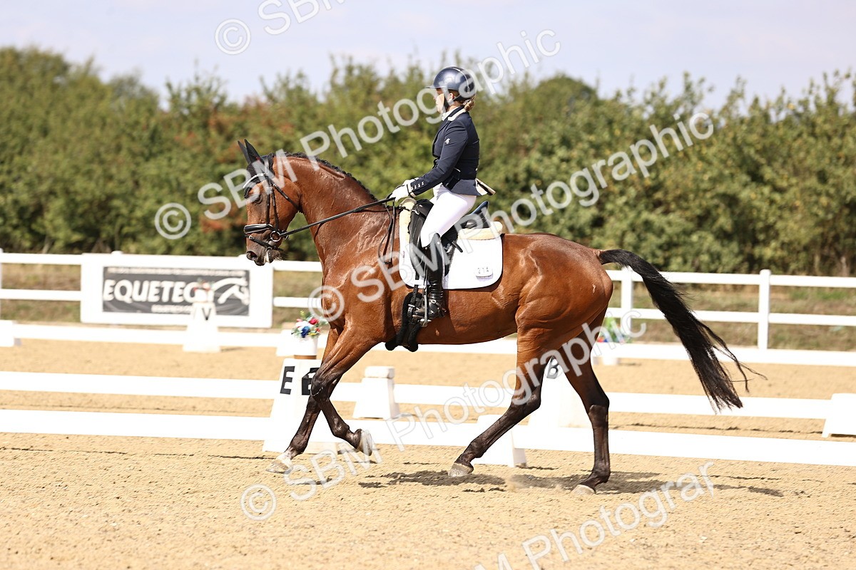 SBM_015068 - Class 6 - Elementary 5