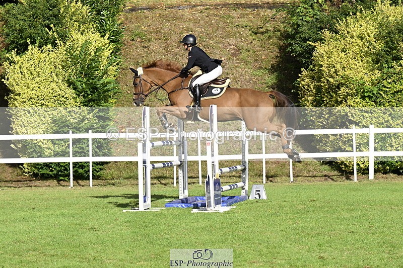 250831A-091017-09146 - Cls 34 Snr Foxhunter