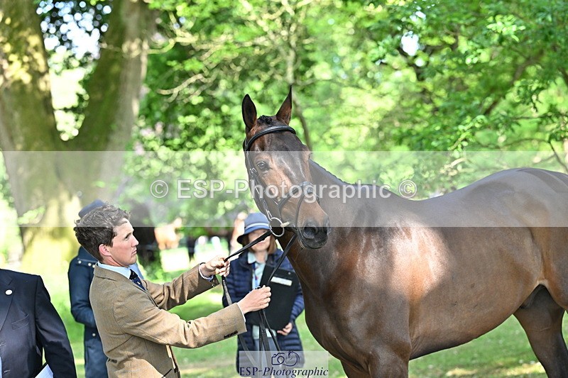 250521A-162638-01146 - C-223-Tom.McEwen-BROOKFIELD.DANNY.DE.MUZE