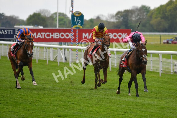 yr14052021r4-15 - Race 4 3.10pm The Matchbook Yorkshire Cup