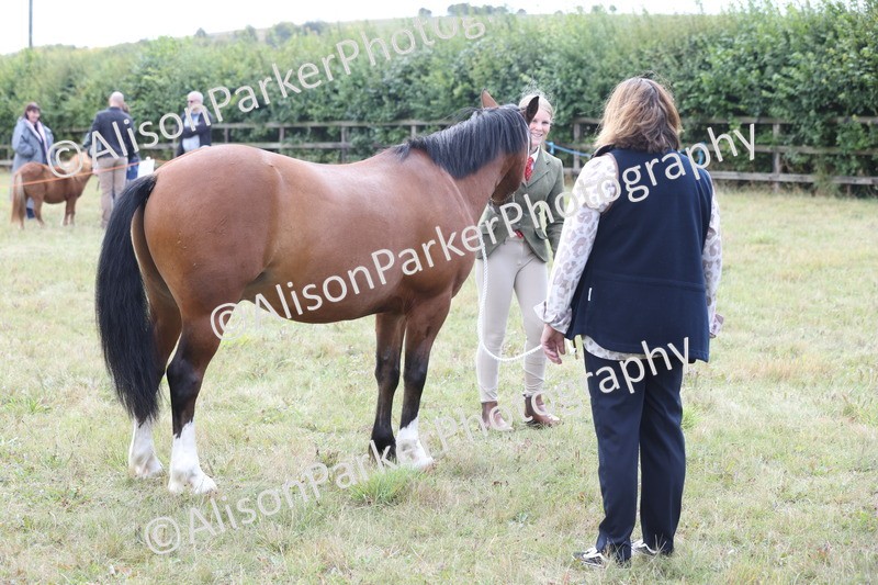 20250831-3042 - Class 23 - Child Handler