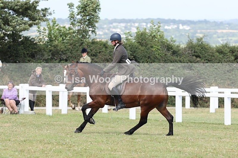 JPP_2413 - Class 19: Working Hunter 60cm