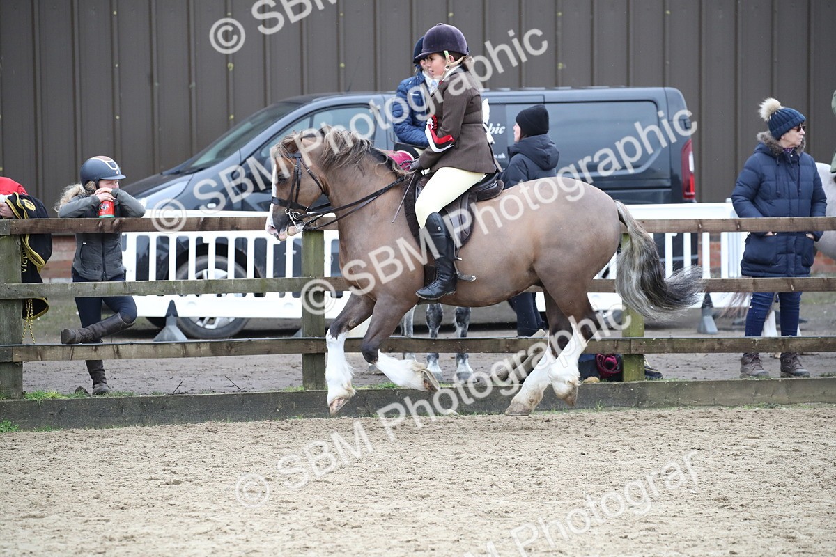 SBM_007110 - Class 10-13 - RIHS Small Large Breeds