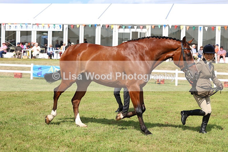 3E7A9572 - Class 4: Rising Star M/H Hunter