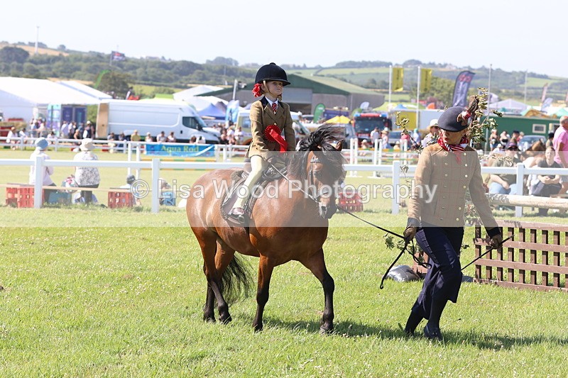 JPP_2120 - Cornish Combination Championship
