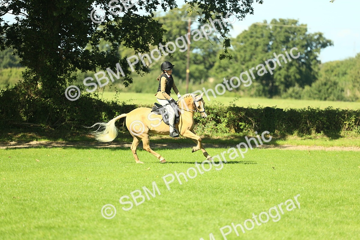 SBM_37483 - S29 - Novice & Newcomers Working Hunter Pony