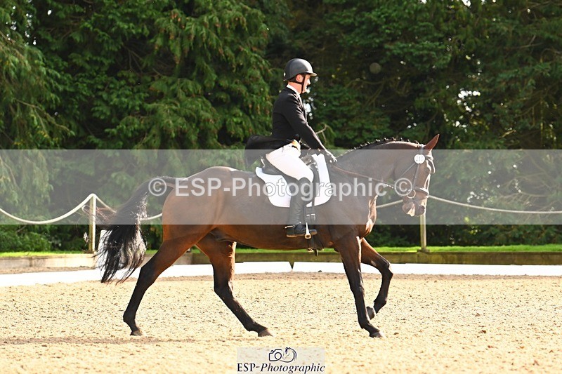 231020-144437-10341 - 210-TREGARON-Gubby.Leech-DR