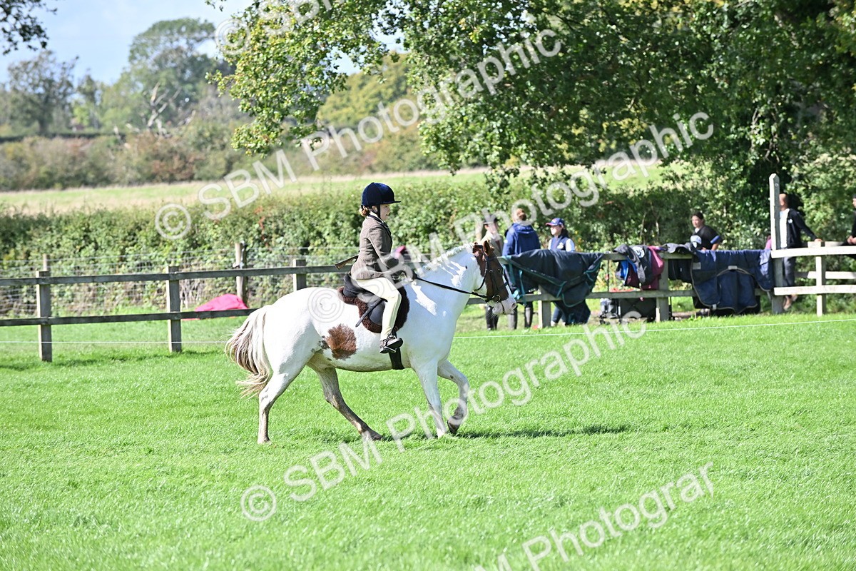 SBM_44570 - S13 - Pony Club Pony