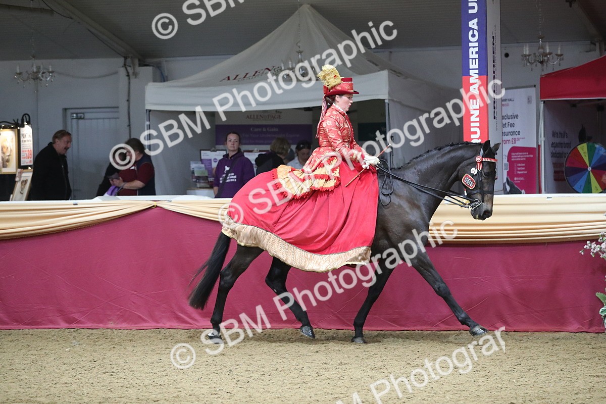 SBM_12118 - Class 107 Ridden Costume- Astride Adult (20+)