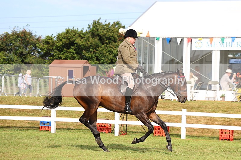 3E7A8204 - Class 2: Rising Star Large Hack/Riding Horse