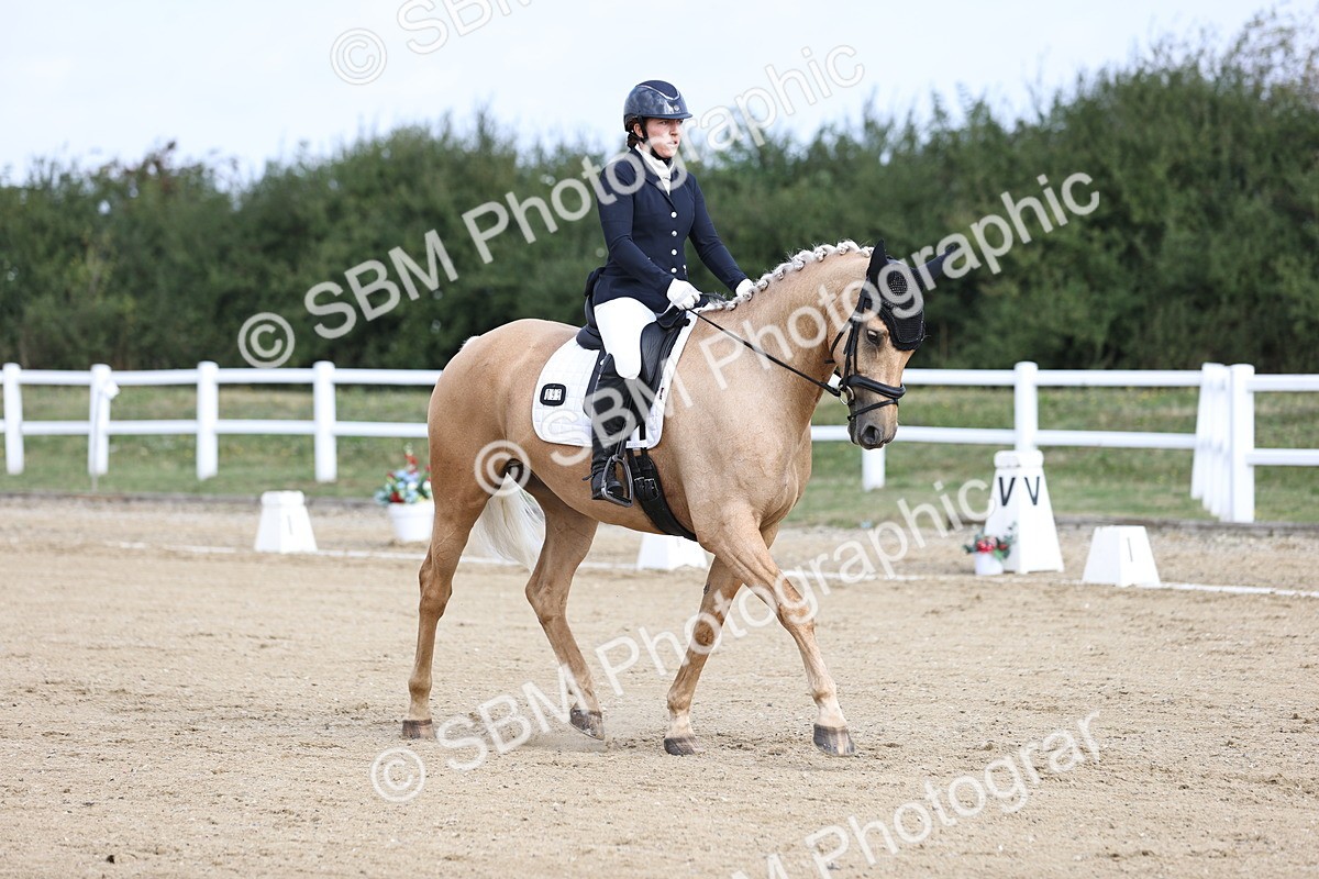 SBM_015388 - Class 14 - Novice 23 - 9.05-10.08