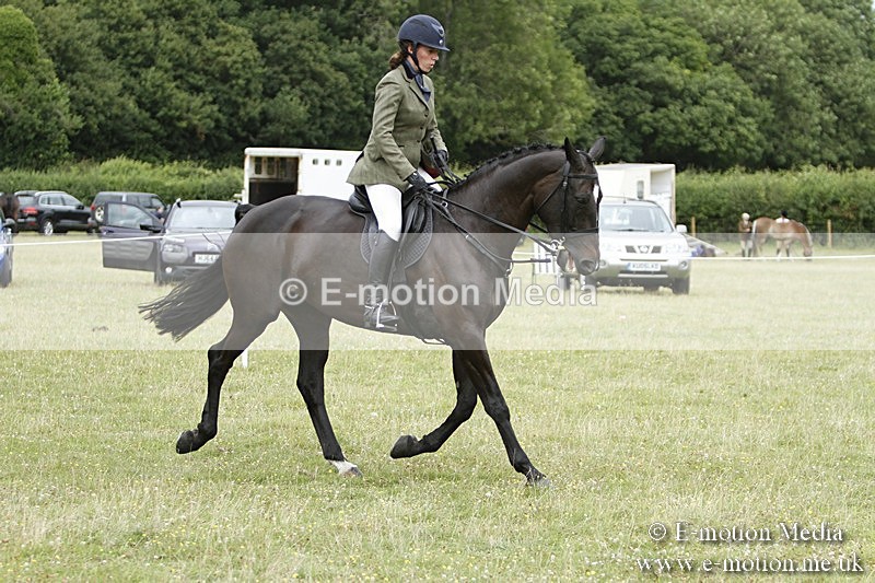 BVR160717-2229 - Ring 3 BVRC Show 16/07/17