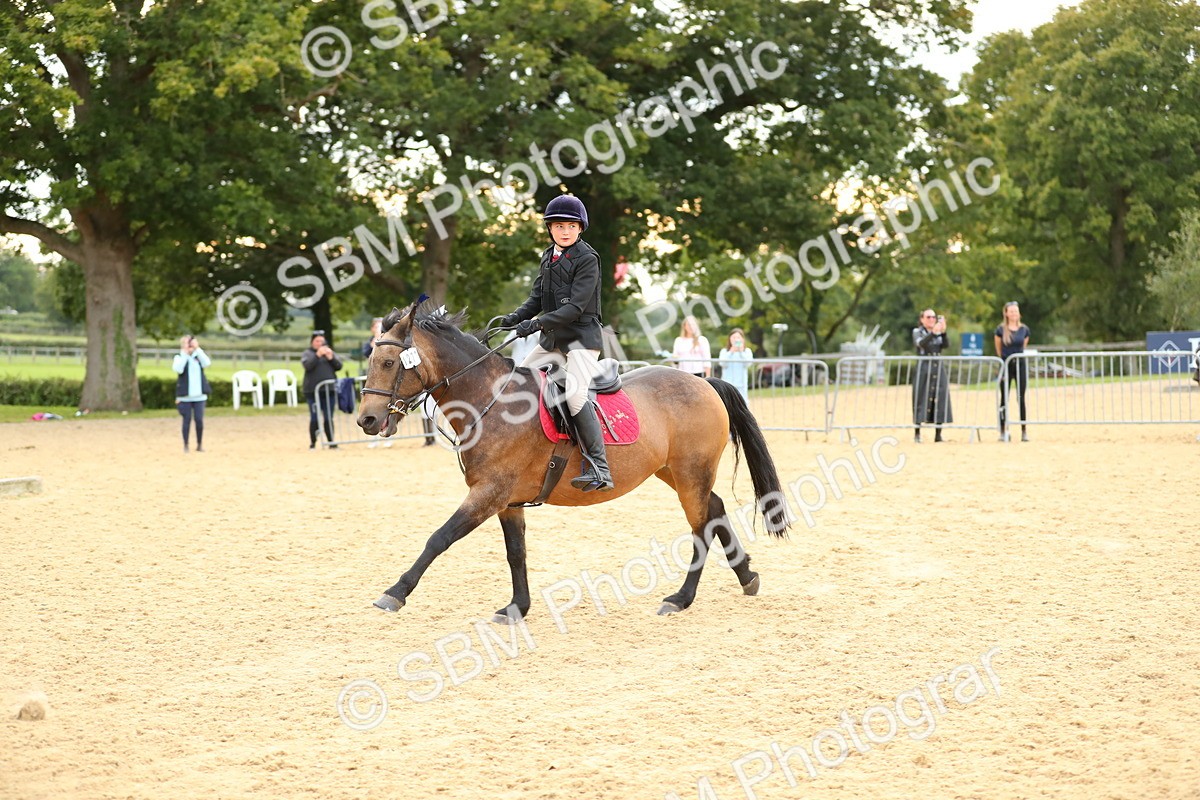 SBM_76244 - J19 - Junior 90cm Supreme Championship
