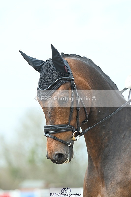 250403-131858-02551 - 062-Olivia.Oakeley-Nulli.Secundus.II