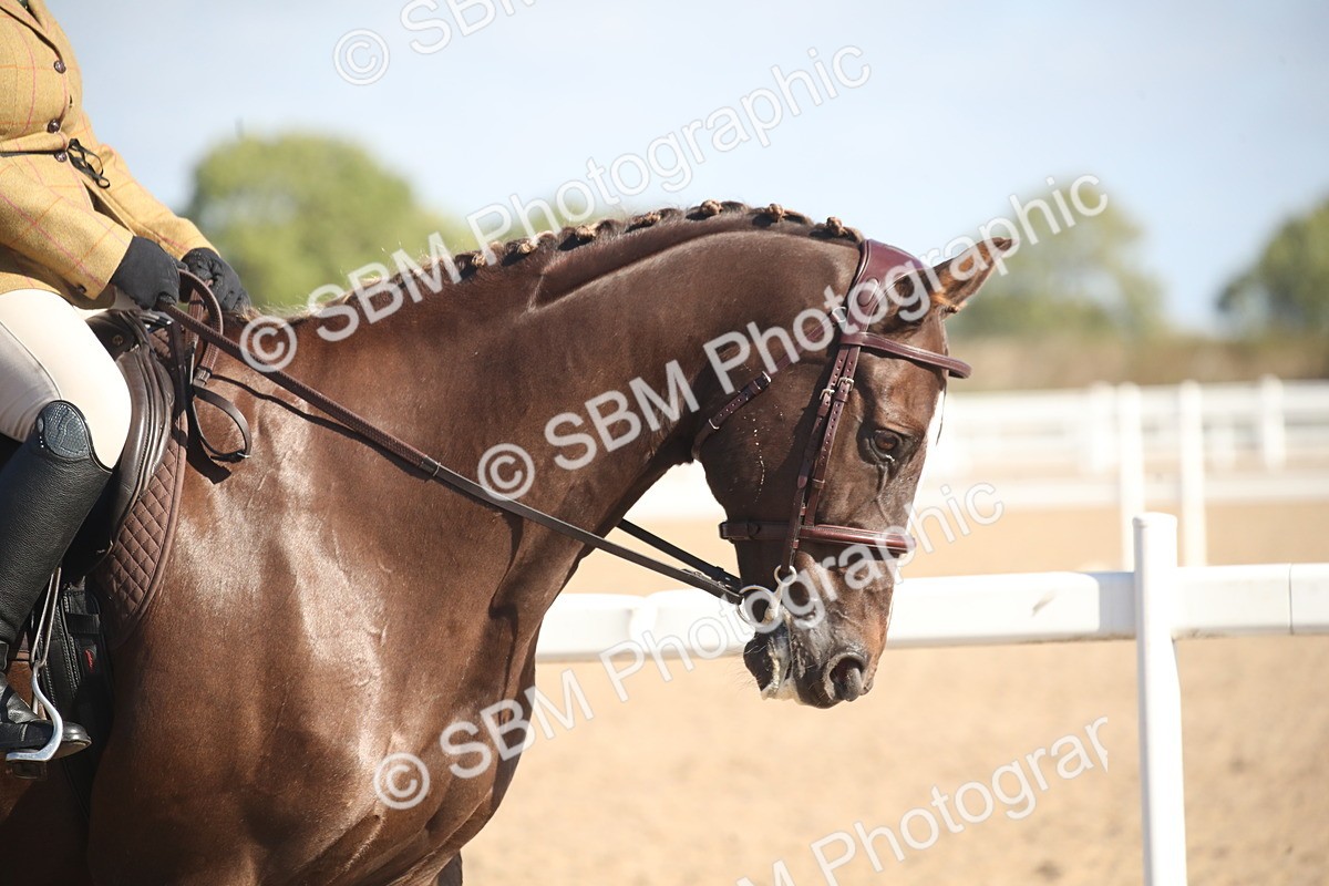 SBM_22755 - Class 602 - 2026 Area - Ridden Veteran