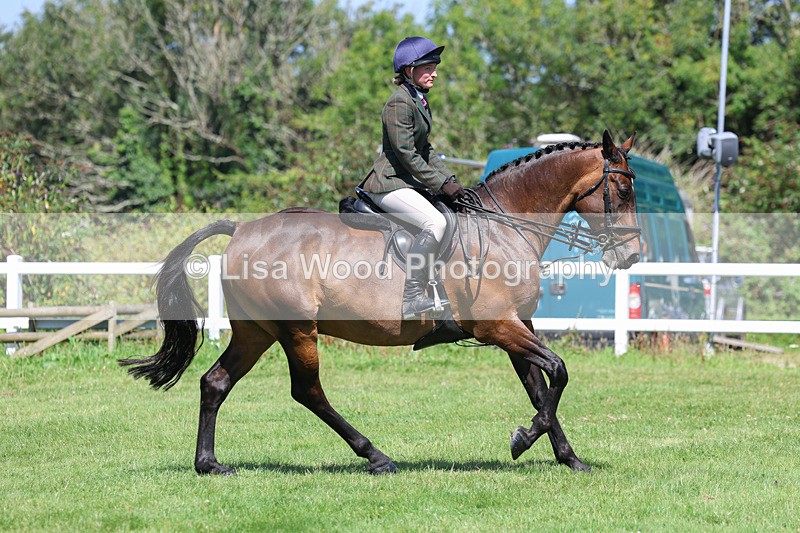 3E7A8963 - Class 6: Open Working Horse