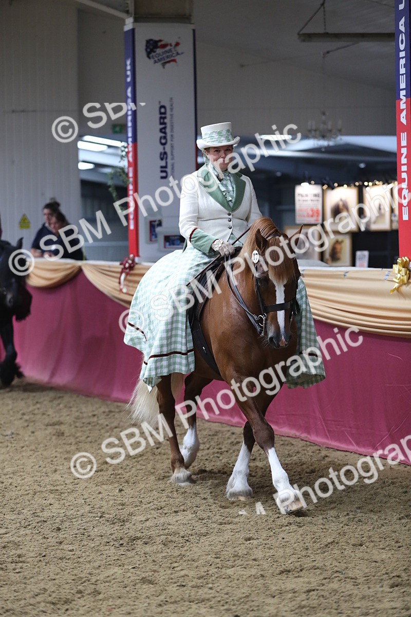 SBM_11955 - Class 106 Ridden Costume- Astride Adult (15-19)