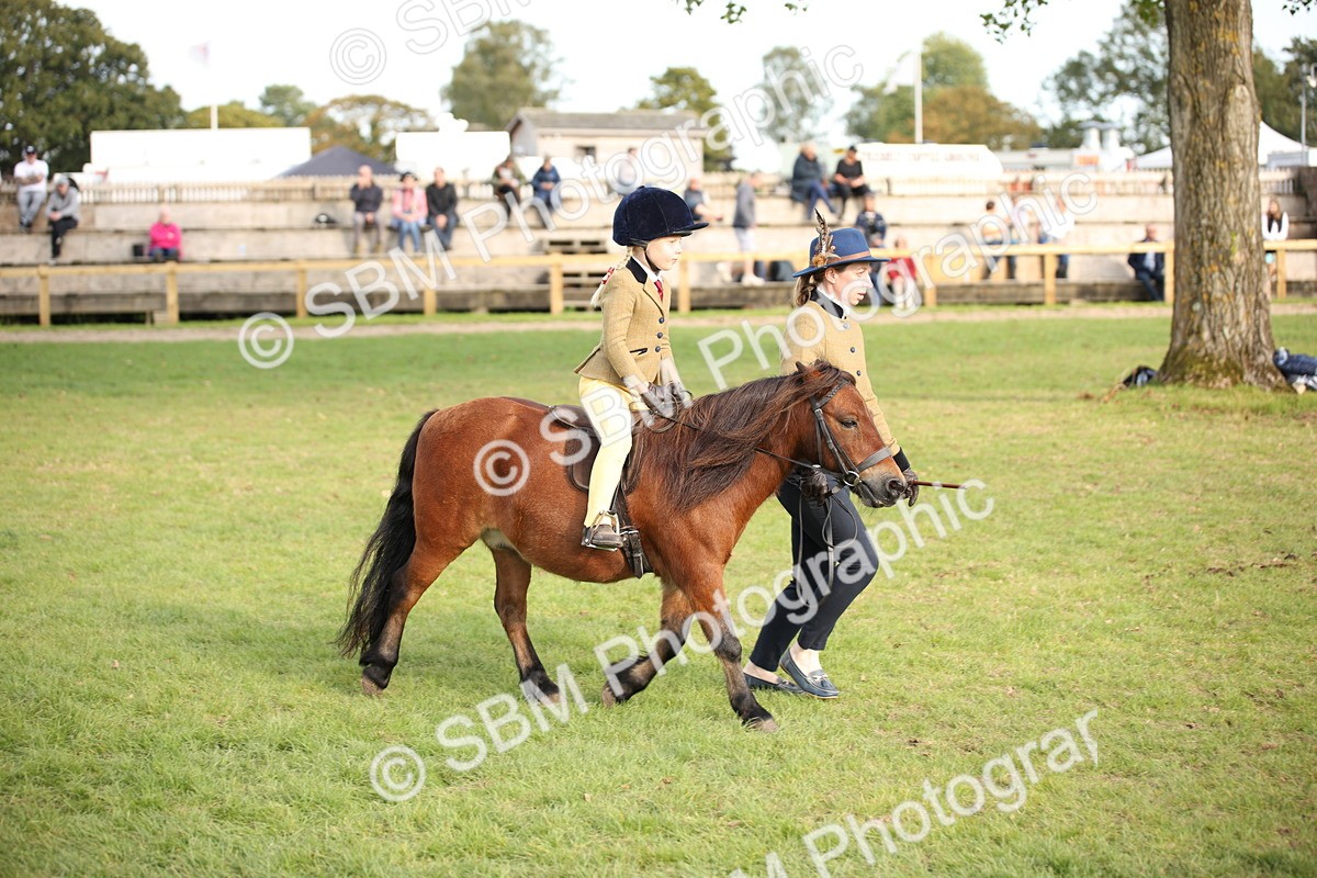 SBM_54275 - S27 - Mature Veteran - Ridden