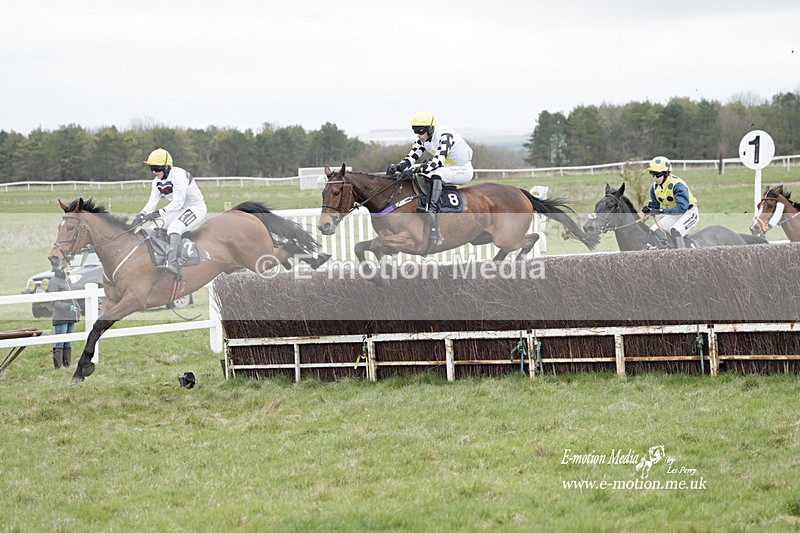 PtP 260323 0805 - New Forest Hounds Point-to-Point Larkhill 26/03/23