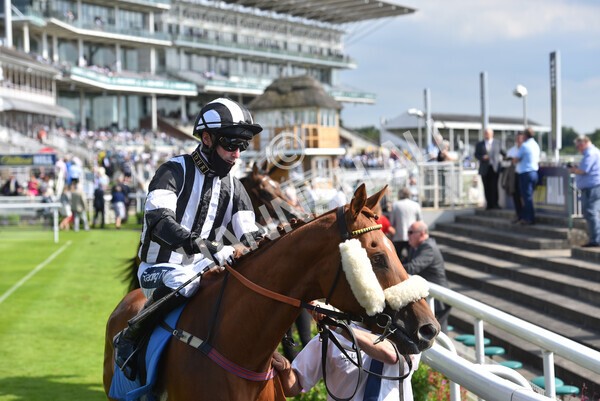 yr09072021r5-34 - Race 5: 4.20pm Garbutt + Elliott Stakes