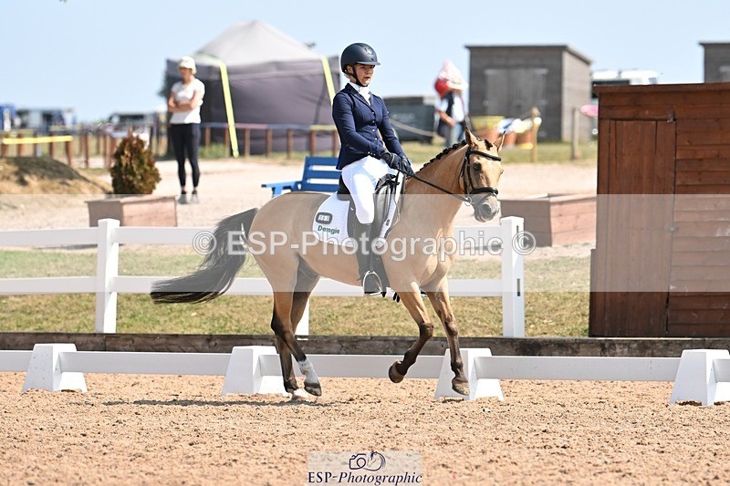 250816-120125-04398 - 060-Felicity.HendySheepcote.Champion.Star