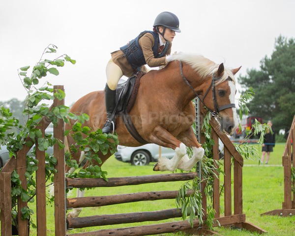 Dunblane show-546 - Dunblane and Doune Show Ring 1