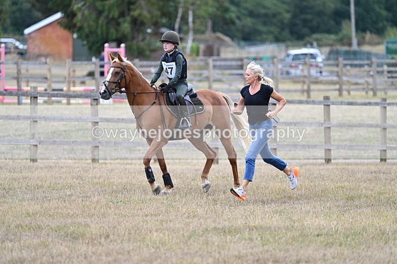 WJ7_1655 - 60cm Time 13:20 to 14:27