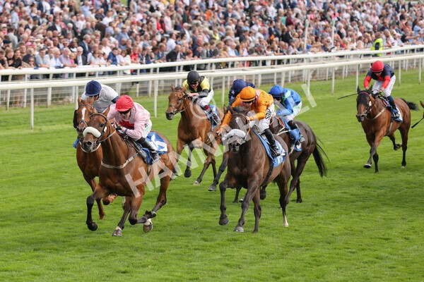 yr18082021r5-50 - Race 5 4.10pm Sky Bet Stakes