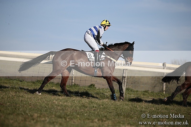 PtP 240218 448 - Vine & Craven Hunt Point-to-Point Barbury racecourse 24/02/18