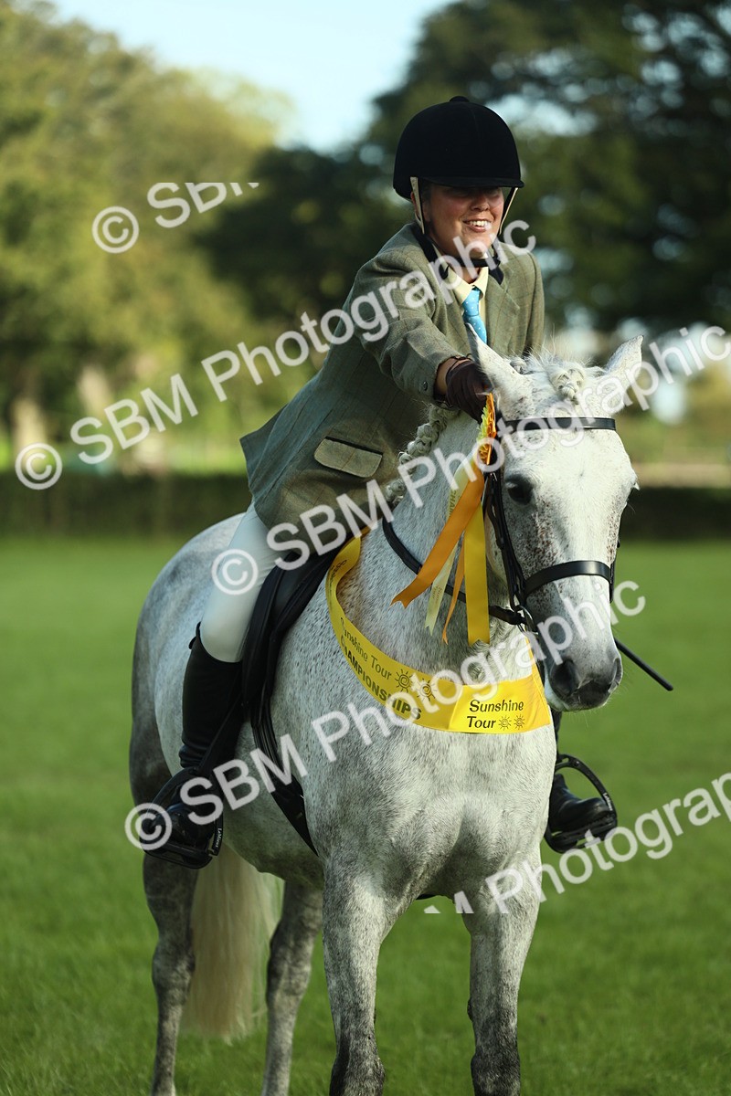 SBM_49922 - S32 - Novice & Newcomers Working Hunter
