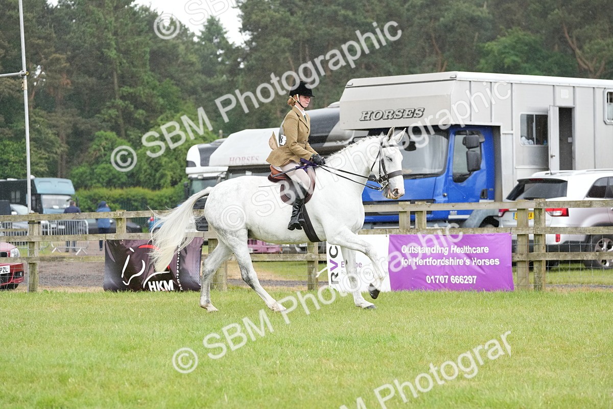 SBM_12829 - Class 97-98 - LIHS BSHA Rising Star Working Show Horse Hunter