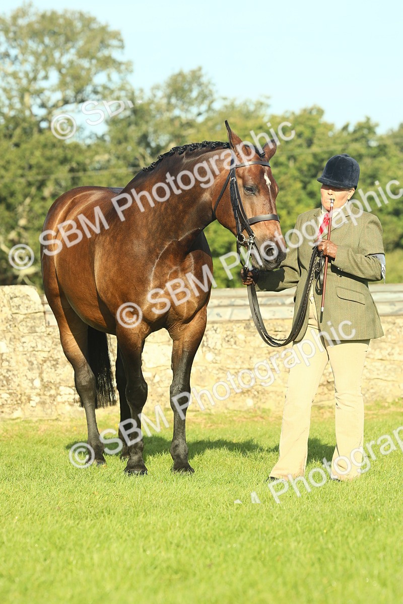 SBM_58598 - S37 - Starters In Hand Showing