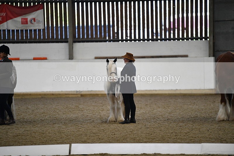 WJ5_5569 - Class 4 In hand M&M - small breeds