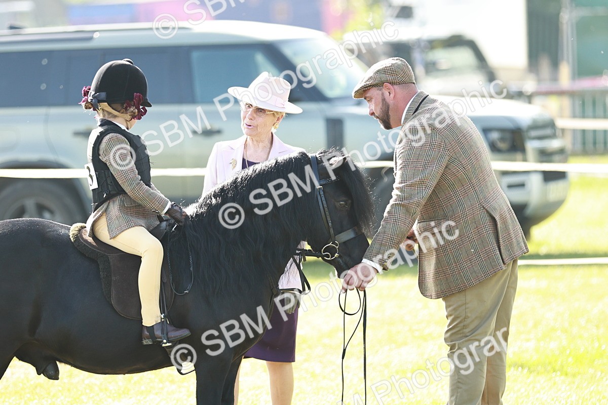 SBM_11162 - Class 106-107 - BSPS LIHS Working Sports Pony